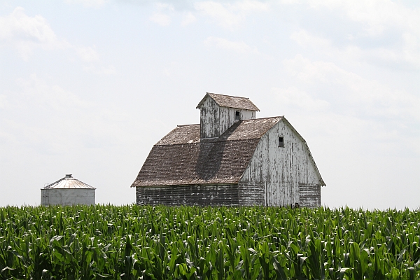 The Barn